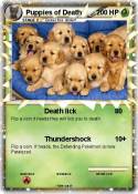 Puppies of
