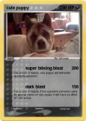 cute puppy