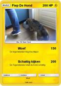 Fiep De Hond