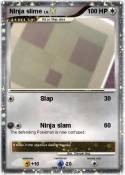 Ninja slime