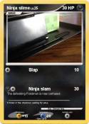Ninja slime