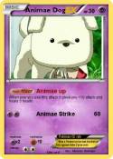 Animae Dog