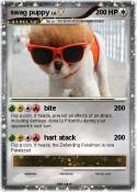 swag puppy