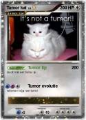 Tumor kat