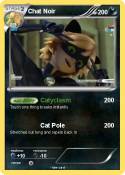 Chat Noir