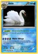 Swan