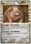 Liam lvl 1337