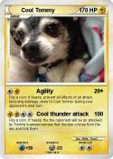 Cool Tommy