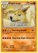 dragon doge