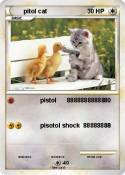 pitol cat pitol cat