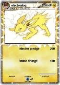 electrodog