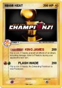 MIAMI HEAT
