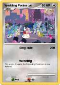 Wedding Ponies