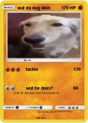 wut da dog doin