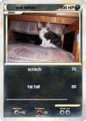 evil kitten