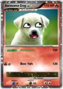 Awesome Dog