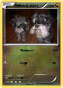 Willow & Jazzie