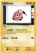 Lighting pig