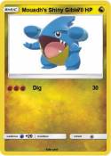 Mouadh's Shiny