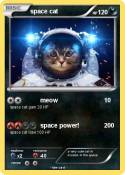 space cat