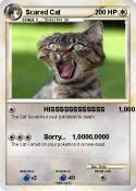Scared Cat