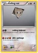 ceiling cat ceiling cat
