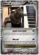 piano cat