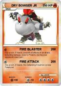 DRY BOWSER JR