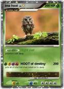 ima hoot