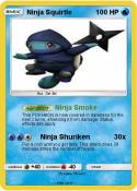 Ninja Squirtle