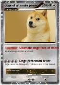 doge of