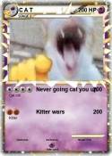 C A T
