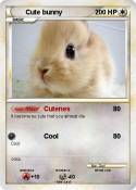 Cute bunny