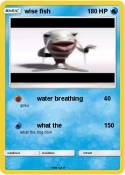 wise fish