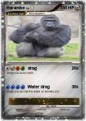Harambe