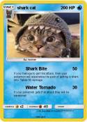 shark cat