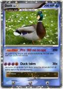 Duck