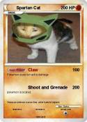 Spartan Cat