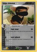 ninja chiwawa