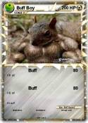 Buff Boy
