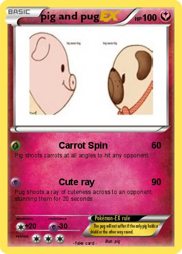 Pokemon pig and pug