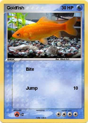 Pokemon Goldfish