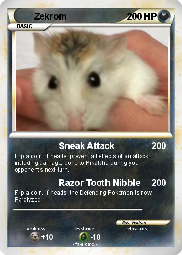 Pokemon Zekrom