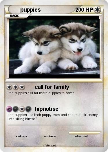 Pokemon puppies