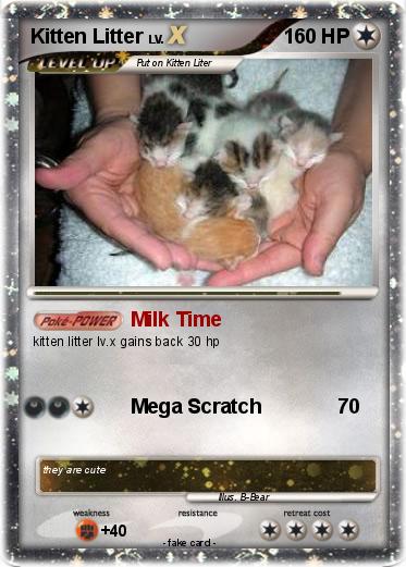 Pokemon Kitten Litter