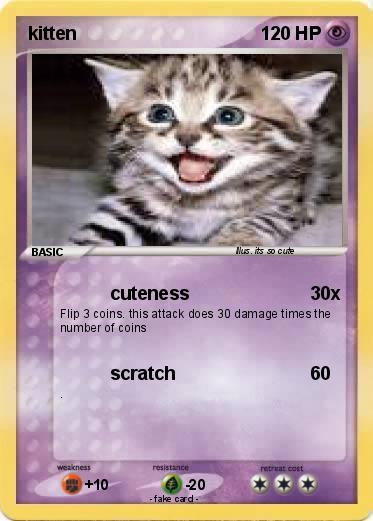Pokemon kitten