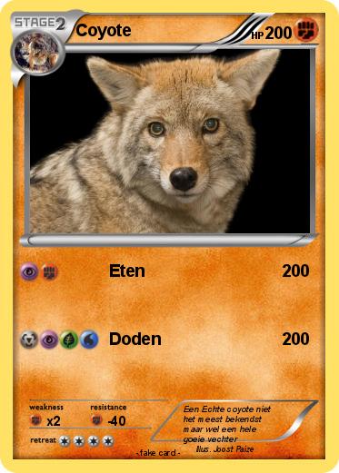 Pokemon Coyote