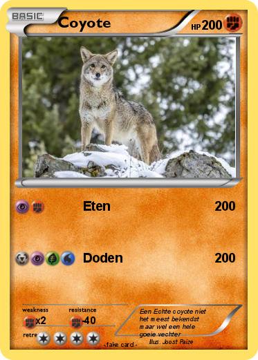 Pokemon Coyote