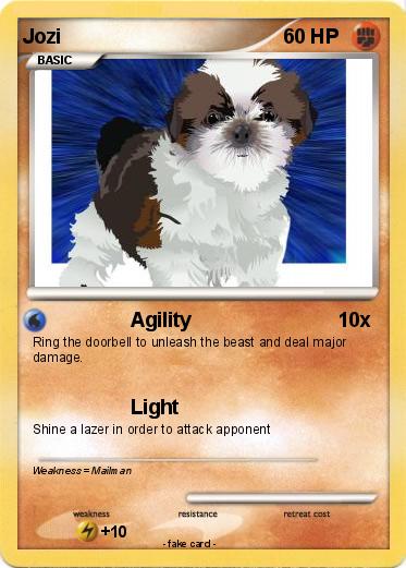 Pokemon Jozi