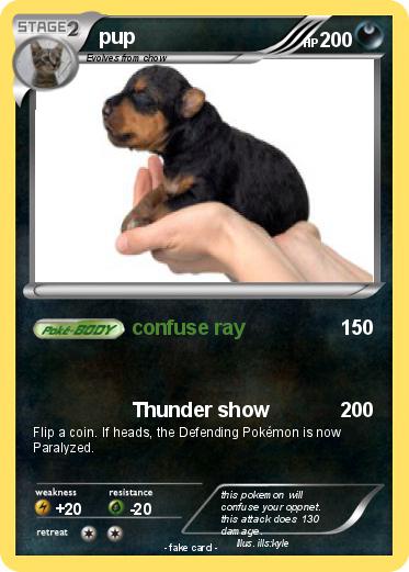 Pokemon pup